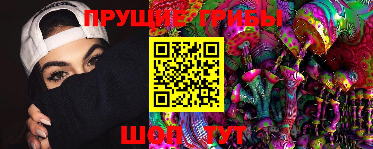 Городец  Псилоцибиновые грибы Psilocybe  Вход с VPN 