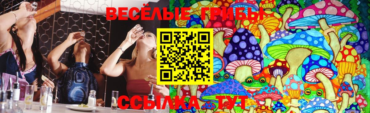 Псилоцибиновые грибы прущие грибы Городец